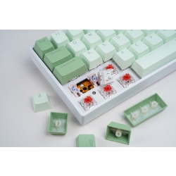 Profesjonalna klawiatura gamingowa 60% Rebel Mini PRO MATCHA LED