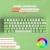 Profesjonalna klawiatura gamingowa 60% Rebel Mini PRO MATCHA LED